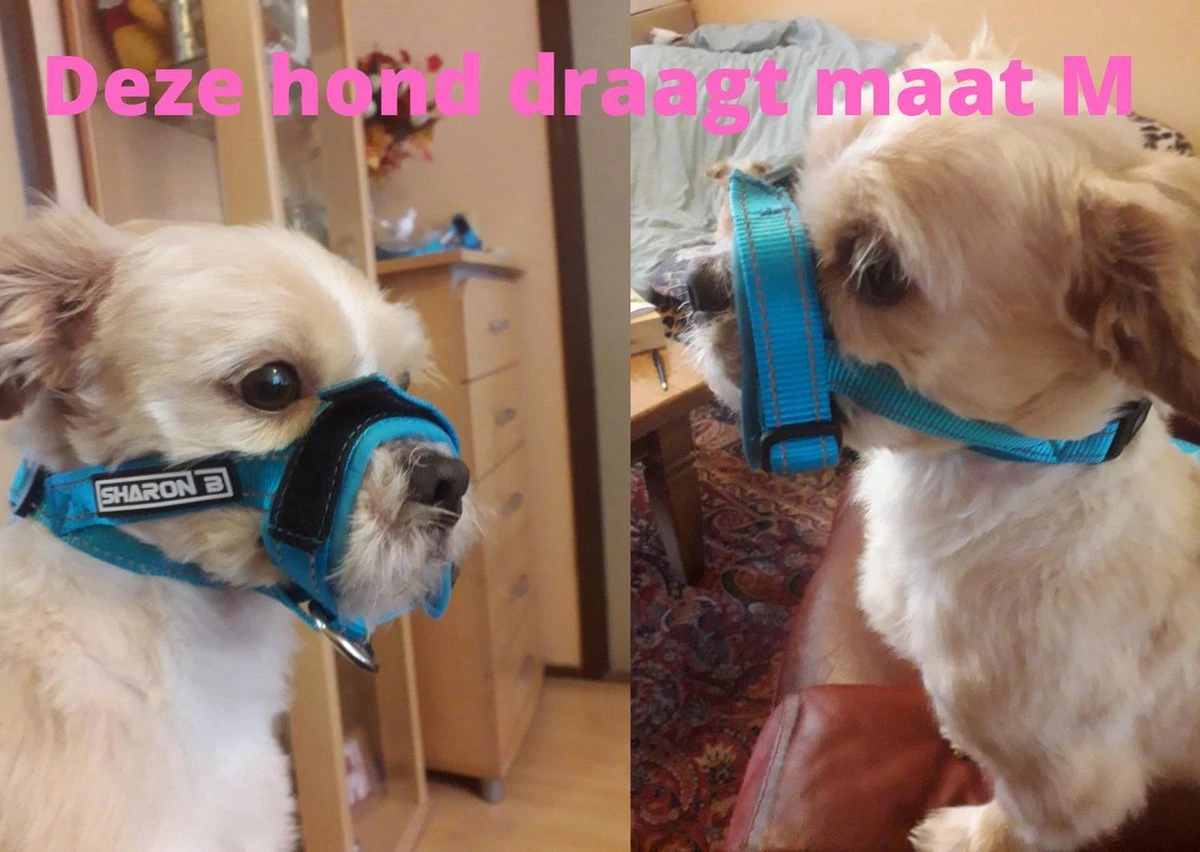 Sharon B Muilkorf Paars Maat M - Fleece - Wasbaar - Reflecterend 6 Sharon B Muilkorf Paars Maat M - Fleece - Wasbaar - Reflecterend - Afbeelding 6