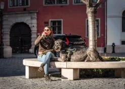 Julius K9 Julius-K9 IDC®Powertuig, 2XL - Maat 3, Zwart 19 Julius K9 Julius-K9 IDC®Powertuig, 2XL - Maat 3, Zwart -Hondenartikelen Winkel 1200x856 6