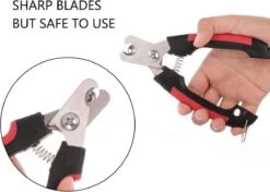 Nagelschaar Voor Dieren- Nagelknipper- Kat- Hond- Vogel Nagelschaartje - Huisdieren - Nail Clipper- Nail Cutter -Hondenartikelen Winkel 1200x857 3