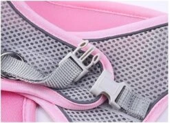 Hondentuigje Voor Kleine Puppy's & Kleine Honden - Blauw - Maat M -Hondenartikelen Winkel 1200x864 10