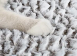 Merkloos Zelfverwarmende Dierendeken Zonder Stroom Thermo Deken Hond Kat Inclusief Adreslabel 70 X 47 Cm -Hondenartikelen Winkel 1200x878 1