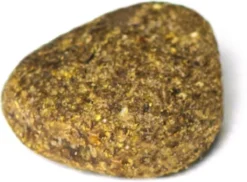 Prins ProCare Croque Lam & Rijst Senior 10 Kg - Hond 22 Prins ProCare Croque Lam & Rijst Senior 10 Kg - Hond -Hondenartikelen Winkel 1200x882