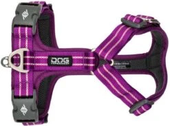 Dog Copenhagen - Comfort Walk Air Met Urban Rope Leash Riem 160 Cm - Paars - XL - 82-106 Cm -Hondenartikelen Winkel 1200x891 2