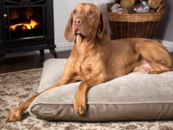 Scruffs Chateau - Hondenbed Orthopedisch Met Memory Foam Voor Extra Steun Voor Rug En Gewrichten - Grijs & Bruin Maat M/L - Kleur: Grijs, Maat: Medium 27 Scruffs Chateau - Hondenbed Orthopedisch Met Memory Foam Voor Extra Steun Voor Rug En Gewrichten - Grijs & Bruin Maat M/L - Kleur: Grijs, Maat: Medium -Hondenartikelen Winkel 1200x898 2