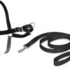 PetSafe Easy Walk® - Hondentuigje - Zwart - M - 51-71 Cm