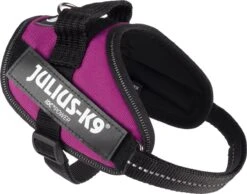 Julius K9 Julius-K9 IDC®Powertuig, XS - Mini-Mini, Donkerroze -Hondenartikelen Winkel 1200x941 1