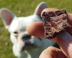 Topdiervoeding Lamslong Hondensnacks - Vers Gedroogd - Knapperig - 1 KG 9 Topdiervoeding Lamslong Hondensnacks - Vers Gedroogd - Knapperig - 1 KG -Hondenartikelen Winkel 1200x960 1