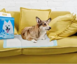 Nobleza 48LXE - Puppy Training Pads - 60 X 90 Cm - Zindelijkheidstraining - 120 Stuks -Hondenartikelen Winkel 1200x997 2