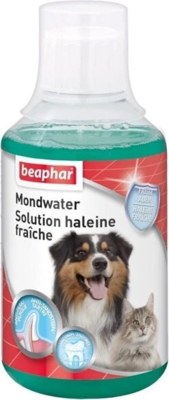 Beaphar Mondwater - 250 Ml 10 Beaphar Mondwater - 250 Ml -Hondenartikelen Winkel 509x1200