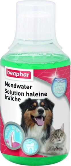 Beaphar Mondwater - 250 Ml 9 Beaphar Mondwater - 250 Ml -Hondenartikelen Winkel 513x1200