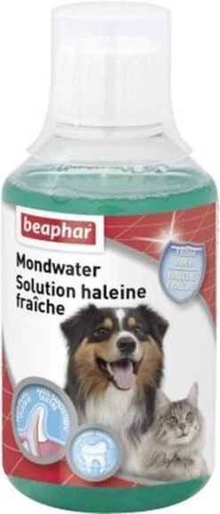 Beaphar Mondwater - 250 Ml 13 Beaphar Mondwater - 250 Ml -Hondenartikelen Winkel 515x1200