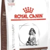 Royal Canin Gastro Intestinal Junior - Tot 12 Maanden - Hondenvoer - 10 Kg