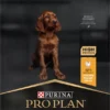 Pro Plan Healthy Start Puppy Large Athletic - Honden Droogvoer - Kip - 12 Kg