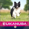 Eukanuba Dog Mature & Senior - Alle Rassen - Lam & Rijst - Droogvoer - 12 Kg