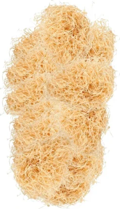 Dieren Begraafkist, Dieren Grafkist, Dieren Doodskist Voor Kat, Konijn Of Hond, Huisdier Begraven (100% Afbreekbaar) -Hondenartikelen Winkel 689x1200 2