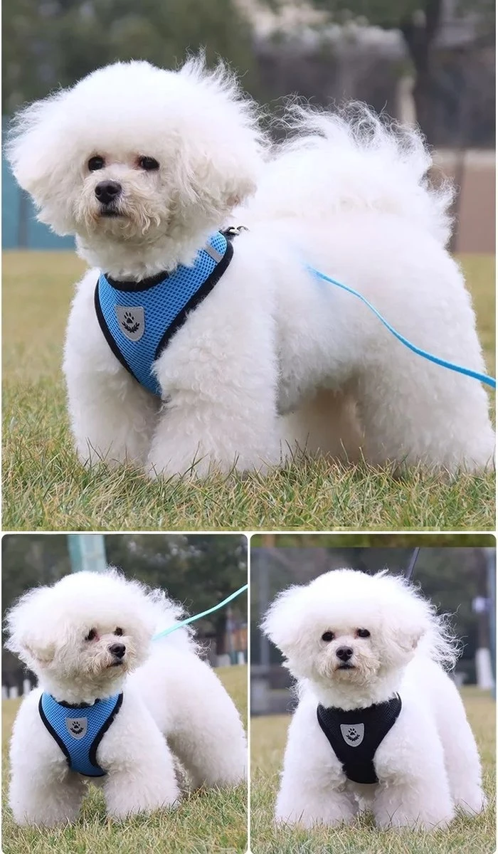 Zavelo® Honden Tuigje - Puppy En Kattentuigje - Hondenharnas - Reflecterend - Incl. Bijpassend Riempje - Zwart-Maat: S 2 Zavelo® Honden Tuigje - Puppy En Kattentuigje - Hondenharnas - Reflecterend - Incl. Bijpassend Riempje - Zwart-Maat: S - Afbeelding 2