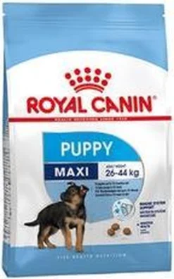 Royal Canin Maxi Junior - Hondenvoer - 10 Kg -Hondenartikelen Winkel 748x1200 3