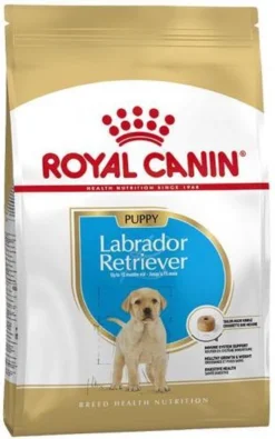 Royal Canin Labrador Retriever Junior 12 KG 33 Royal Canin Labrador Retriever Junior 12 KG -Hondenartikelen Winkel 750x1200 2