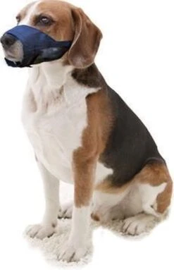 Pawise Muilkorf Adjustable - L - Size -Hondenartikelen Winkel 773x1200 1