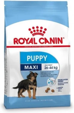 Royal Canin Maxi Junior - Hondenvoer - 10 Kg -Hondenartikelen Winkel 790x1200 1