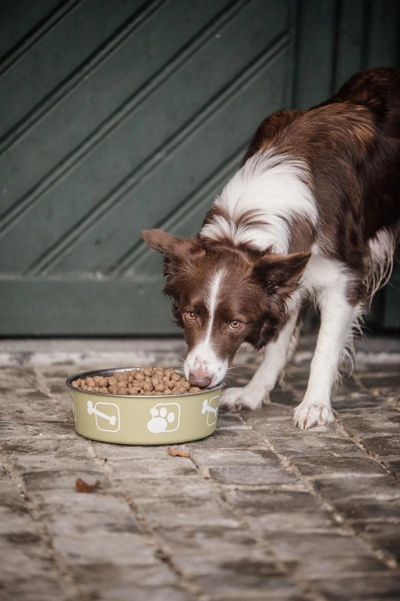 Delcon - Premium Hondenvoer - Puppy - 12kg 6 Delcon - Premium Hondenvoer - Puppy - 12kg - Afbeelding 6