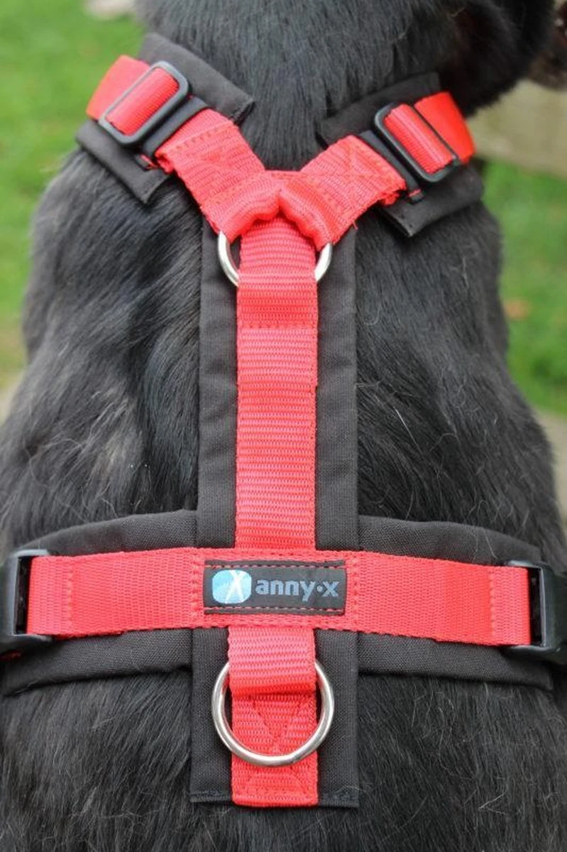 Annyx Hondentuig Harnas Zwart Rood - Y Model - Maat S Is Geschikt Voor Borstomvang 52-64cm. 3 Annyx Hondentuig Harnas Zwart Rood - Y Model - Maat S Is Geschikt Voor Borstomvang 52-64cm. - Afbeelding 3