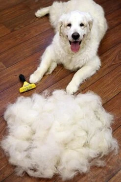 Furminator® Hond Langhaar - Vermindert Haaruitval Tot 90% - Hondenborstel - L -Hondenartikelen Winkel 800x1200 23