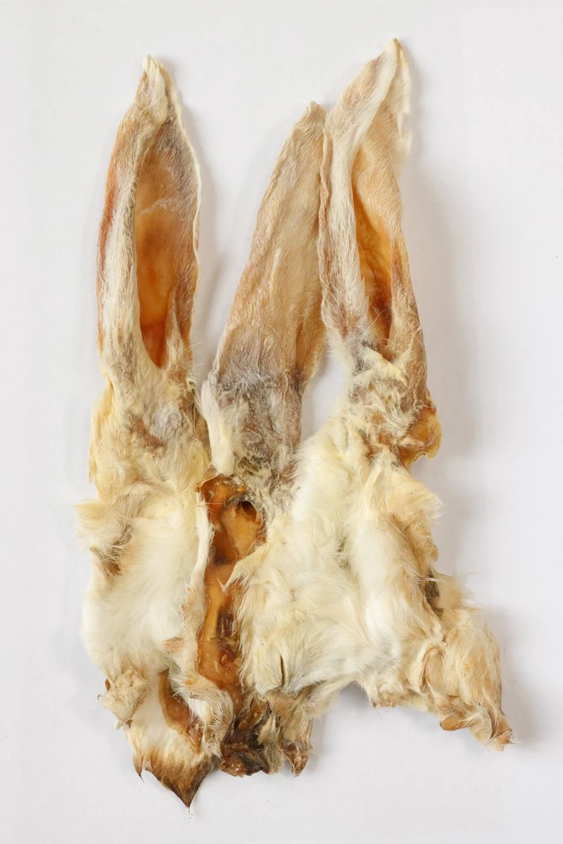 Konijn Oren Met Haar 1kg Van De Snackmeester 100% Natuurlijk Natural Naturel 1 Konijn Oren Met Haar 1kg Van De Snackmeester 100% Natuurlijk Natural Naturel