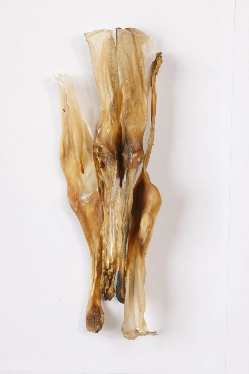 Konijn Oor Konijnoren 1kg Van De Snackmeester 100% Natuurlijk Natural Naturel 1 Konijn Oor Konijnoren 1kg Van De Snackmeester 100% Natuurlijk Natural Naturel