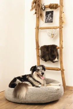 Beeztees Orthopedische Hondenmand Jaxx Grijs 70 Cm - Hond -Hondenartikelen Winkel 801x1200 6