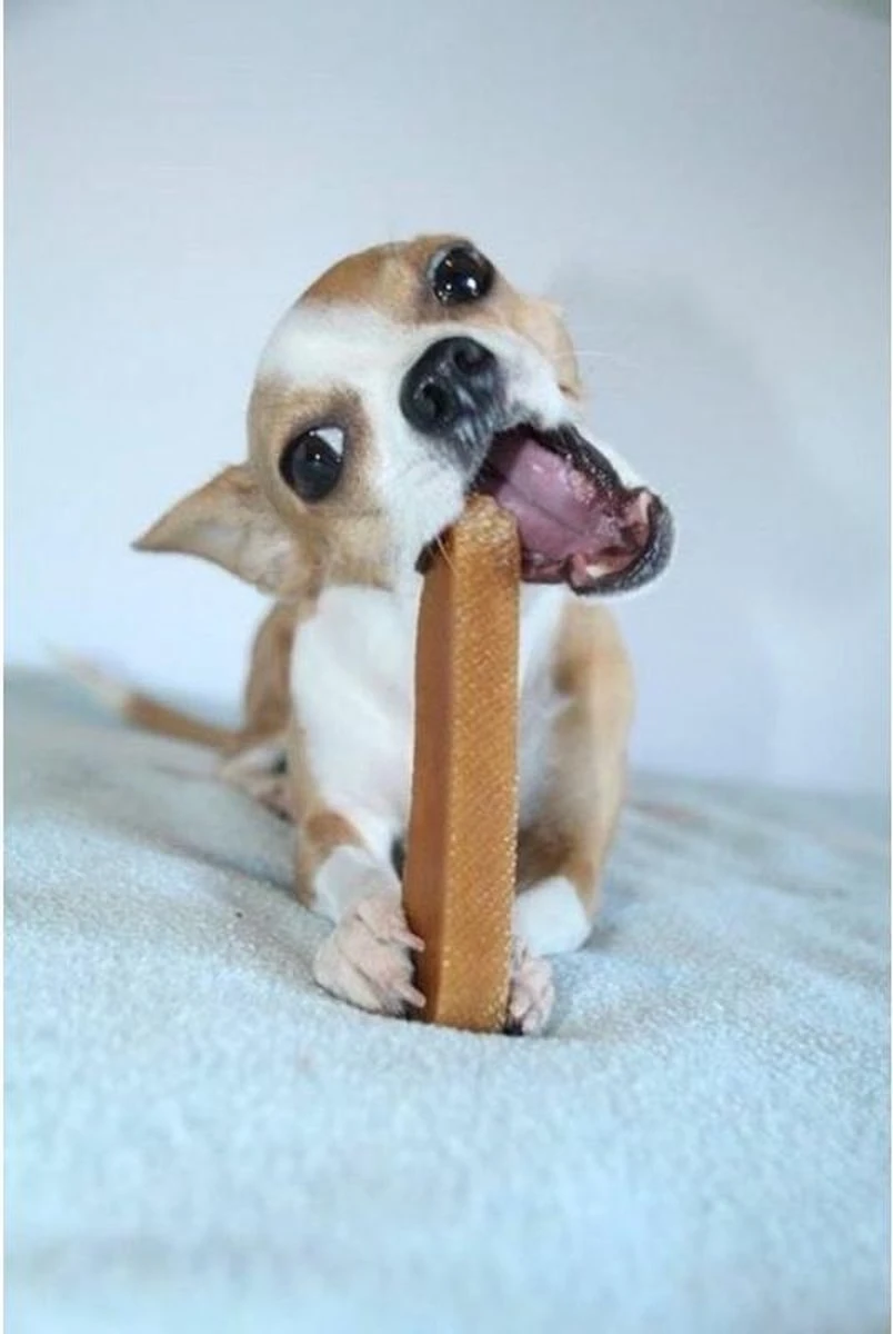 Coucour - Yak Kaas - Hondensnacks - Himalayan Cheese Bone - Medium 70Gram 2 Coucour - Yak Kaas - Hondensnacks - Himalayan Cheese Bone - Medium 70Gram - Afbeelding 2