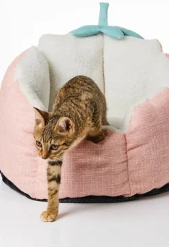 PETKIT® Strawberry Mand – Hondenmand – Kattenmand – Roze -Hondenartikelen Winkel 823x1200 2