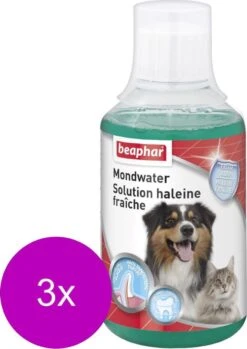 Beaphar Mondwater Hond/Kat - Gebitsverzorging - 3 X 250 Ml 6 Beaphar Mondwater Hond/Kat - Gebitsverzorging - 3 X 250 Ml -Hondenartikelen Winkel 850x1200 6