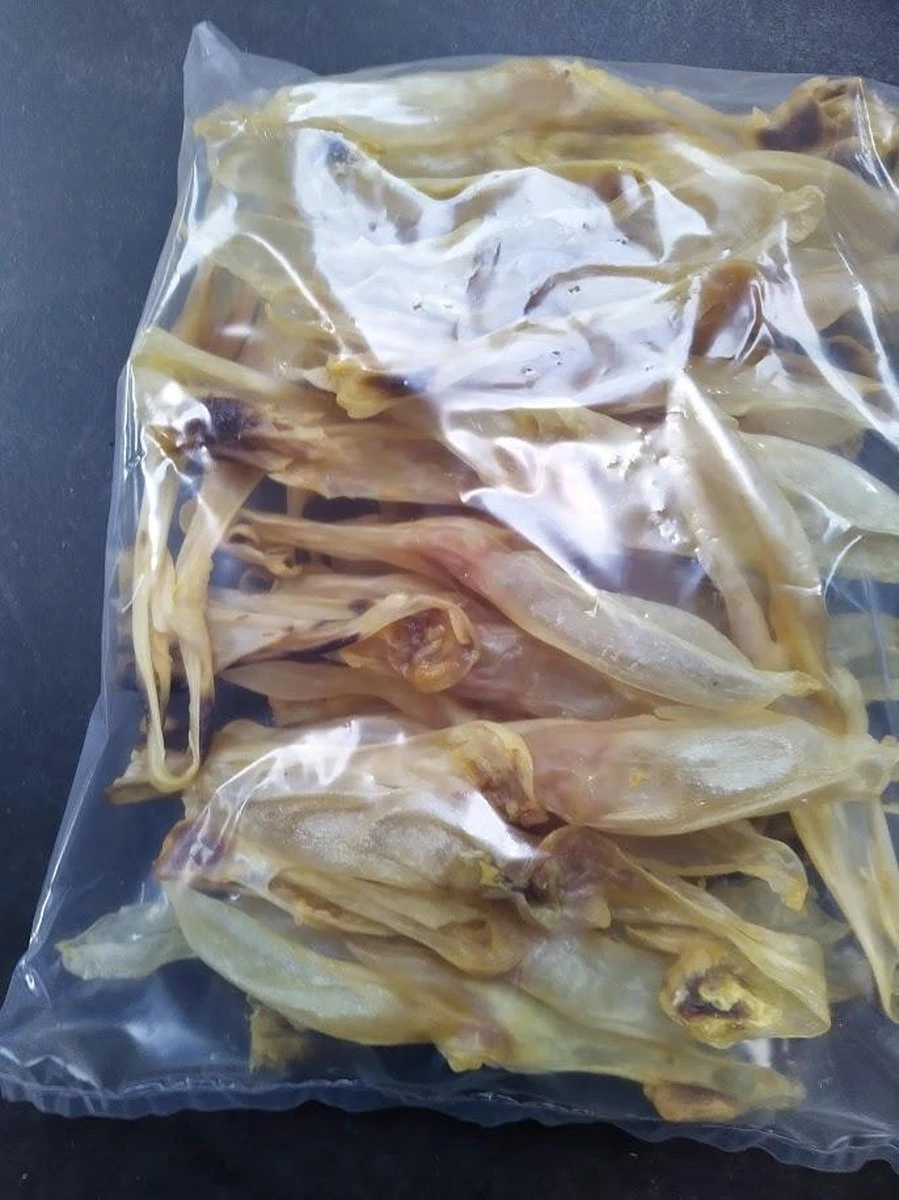 Konijn Oor Konijnoren 1kg Van De Snackmeester 100% Natuurlijk Natural Naturel 2 Konijn Oor Konijnoren 1kg Van De Snackmeester 100% Natuurlijk Natural Naturel - Afbeelding 2