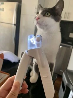 SunnyPets - Professionele Dieren Nagelknipper - Wit - Met LED En Vijl - Hond - Kat - Geschikt Voor Alle - Nageltang -Hondenartikelen Winkel 899x1200 23