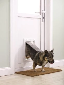 Petsafe 660 Hondenluik - Tot 100 Kg - Aluminium -Hondenartikelen Winkel 900x1200 50