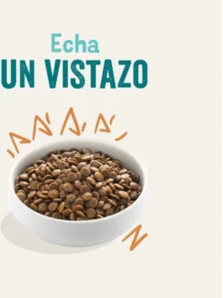 Edgard & Cooper Verse Scharrelkip Adult - Hondenvoer - 7kg -Hondenartikelen Winkel 900x1200 9