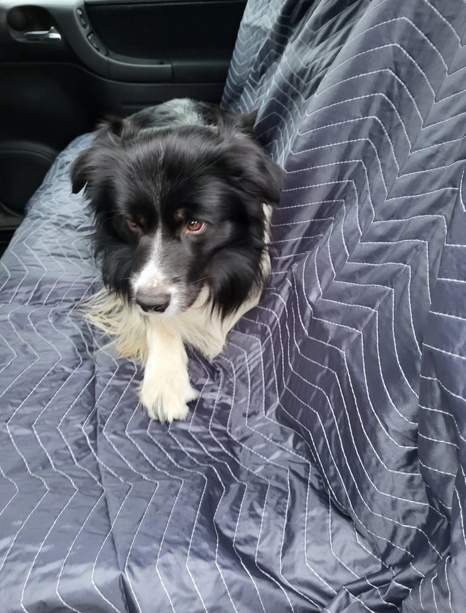 Luxe Hondendeken 200 X 150 Cm Auto Achterbank Kofferbak Vuilafstotend & Beschermend