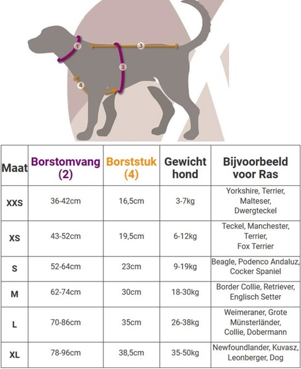 Anny.X Hondentuig Y Tuig Bruin Barnsteen Maat L Geschikt Voor Borstomvang 70-86cm 6 Anny.X Hondentuig Y Tuig Bruin Barnsteen Maat L Geschikt Voor Borstomvang 70-86cm - Afbeelding 6