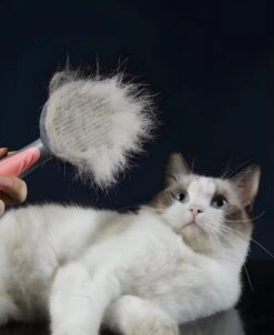 Pakeway T9 - Kattenborstel - Zelfreinigende Kattenkam - Roze - Massageborstel - 19,3 Cm -Hondenartikelen Winkel 983x1200 5